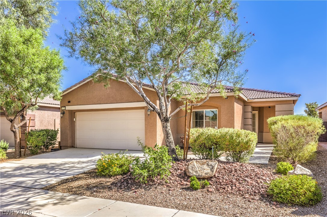 10730 Lightning Sky Street