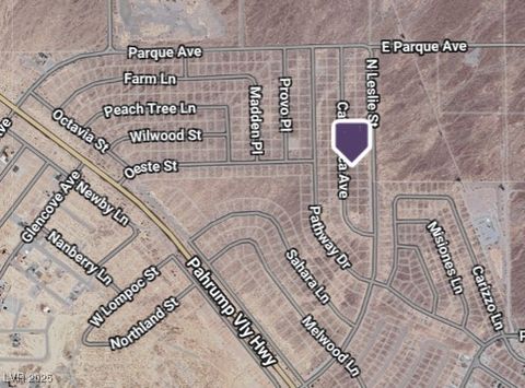 6761 N Catamarca Avenue Pahrump NV 89060