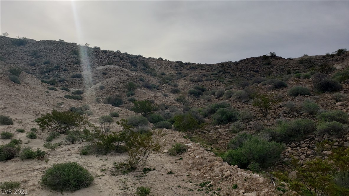 Land, Moapa, Nevada image 43