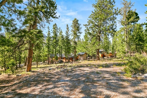 Tiny photo for 2130 Via Spes Nostra Street, Mount Charleston, NV 89124 (MLS # 2741361)