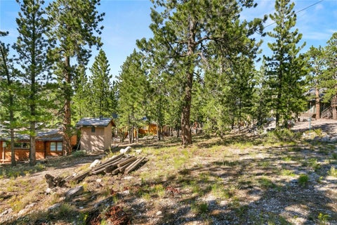 Tiny photo for 2130 Via Spes Nostra Street, Mount Charleston, NV 89124 (MLS # 2741361)