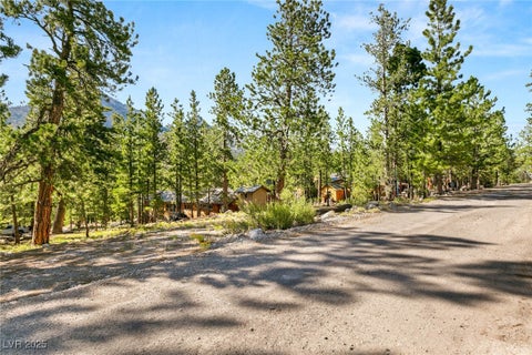 Tiny photo for 2130 Via Spes Nostra Street, Mount Charleston, NV 89124 (MLS # 2741361)