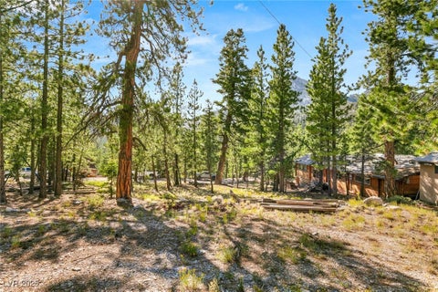 Tiny photo for 2130 Via Spes Nostra Street, Mount Charleston, NV 89124 (MLS # 2741361)