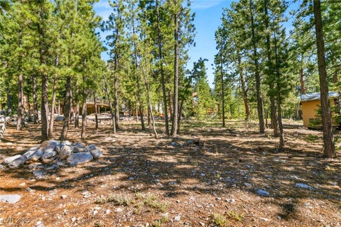 Tiny photo for 2130 Via Spes Nostra Street, Mount Charleston, NV 89124 (MLS # 2741361)