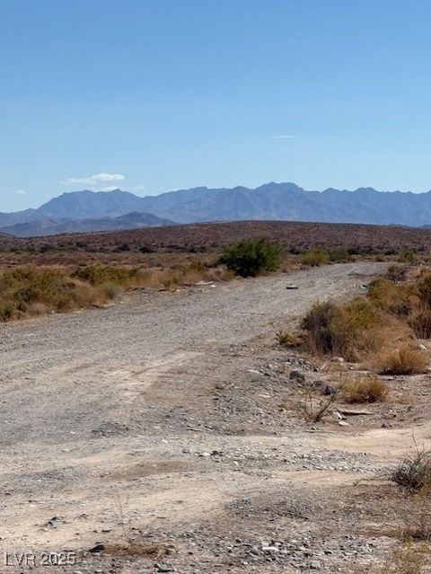 10091 Robert Road Pahrump NV 89048