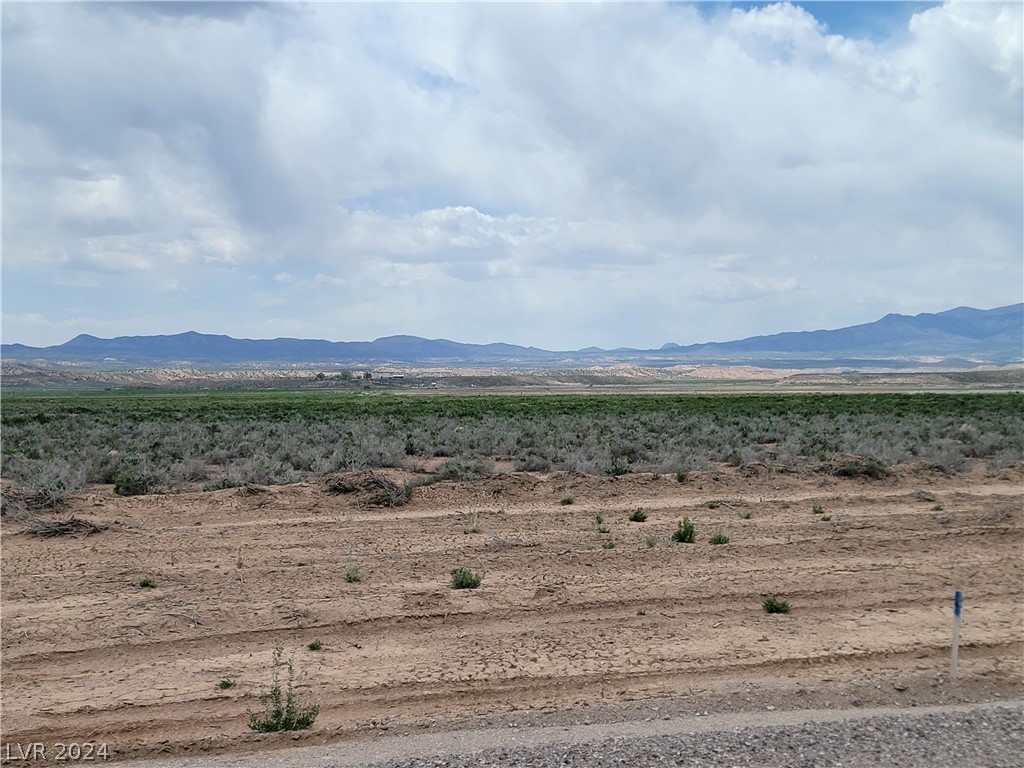 Cold Springs, Panaca, Nevada image 4