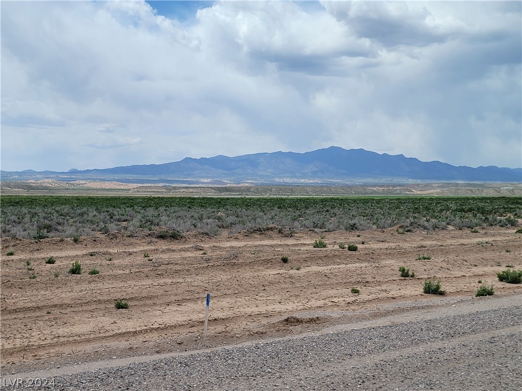 Cold Springs, Panaca, Nevada image 6