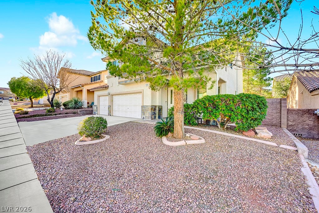1009 Black Olive Street