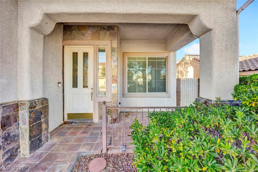 1009 Black Olive Street