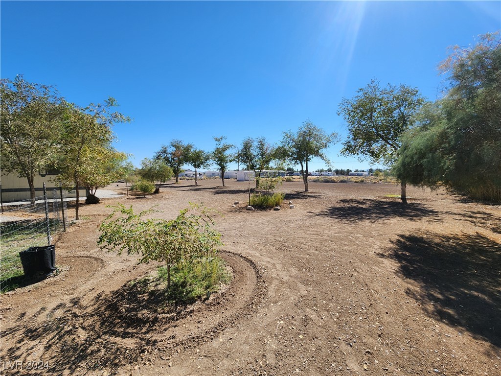 3141 W Medicine Man Road, Pahrump, Nevada image 13