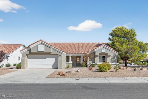 3100 Angelica Court Las Vegas NV 89134