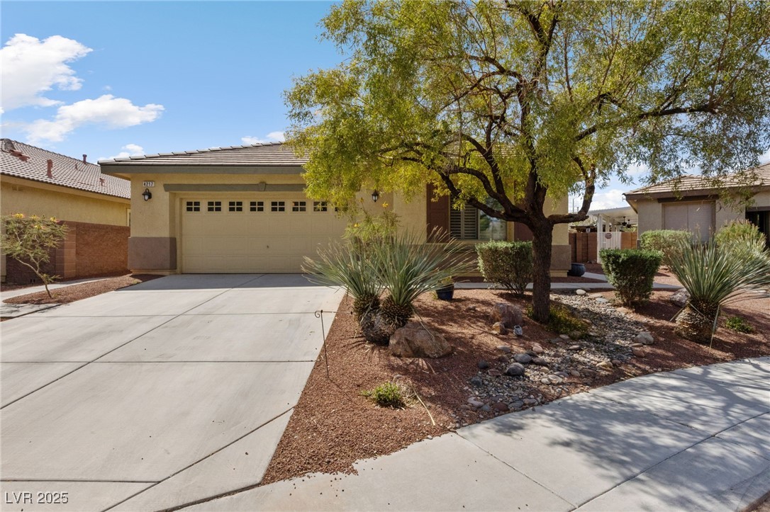 4217 Box Canyon Falls Avenue, North Las Vegas, Nevada image 2