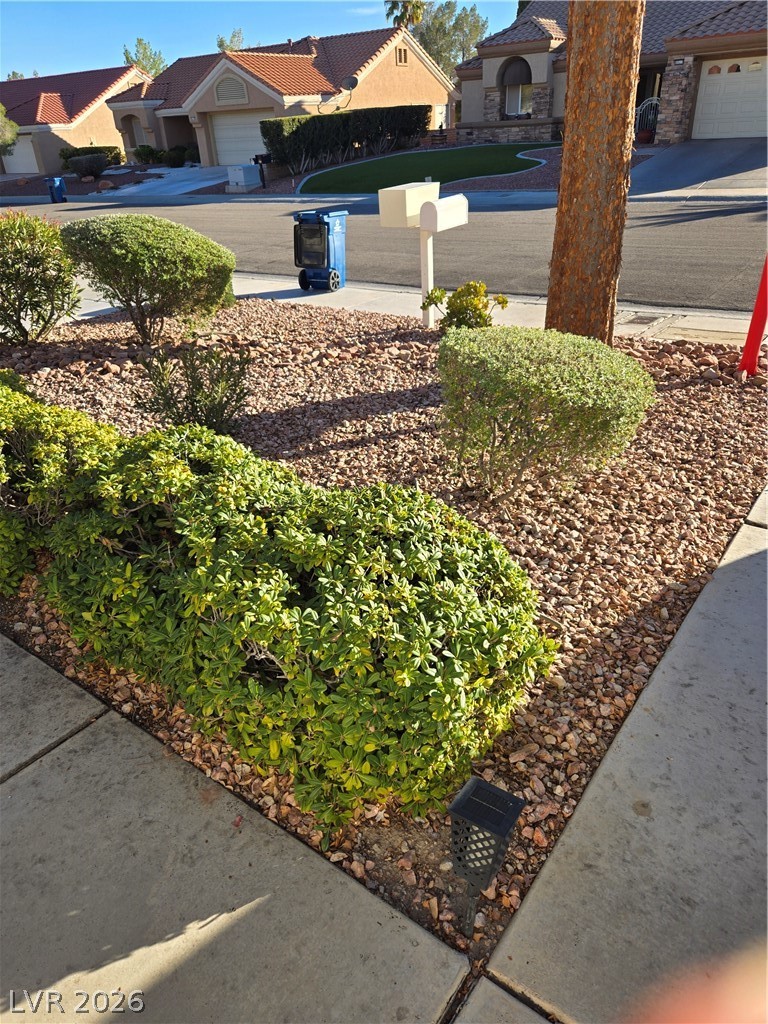 8536 Desert Holly Drive Drive