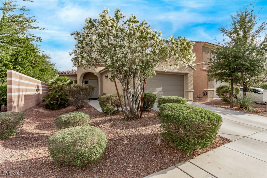 3005 Dotted Wren Avenue