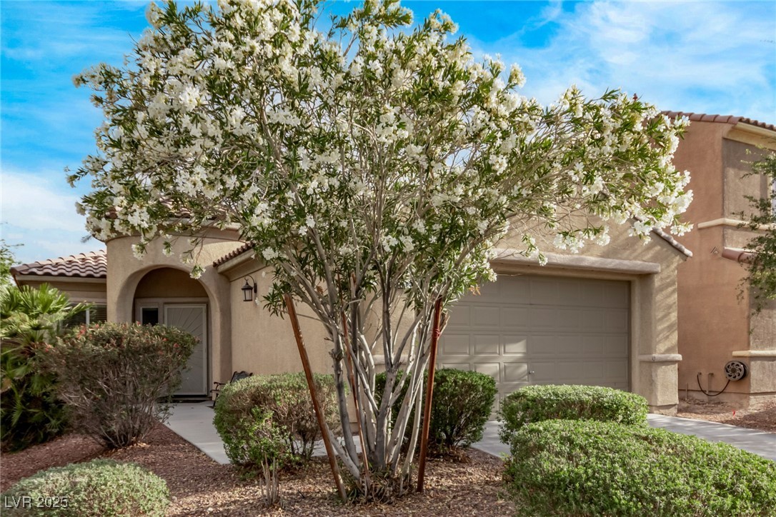 3005 Dotted Wren Avenue