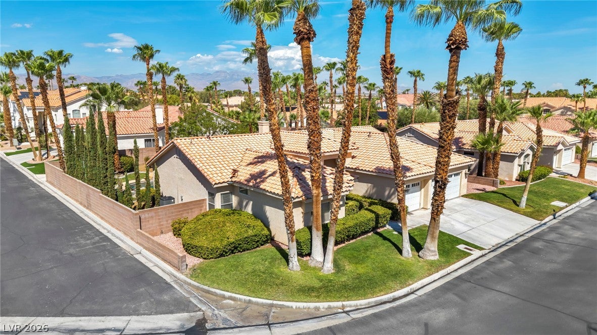 5569 Wild Olive Street