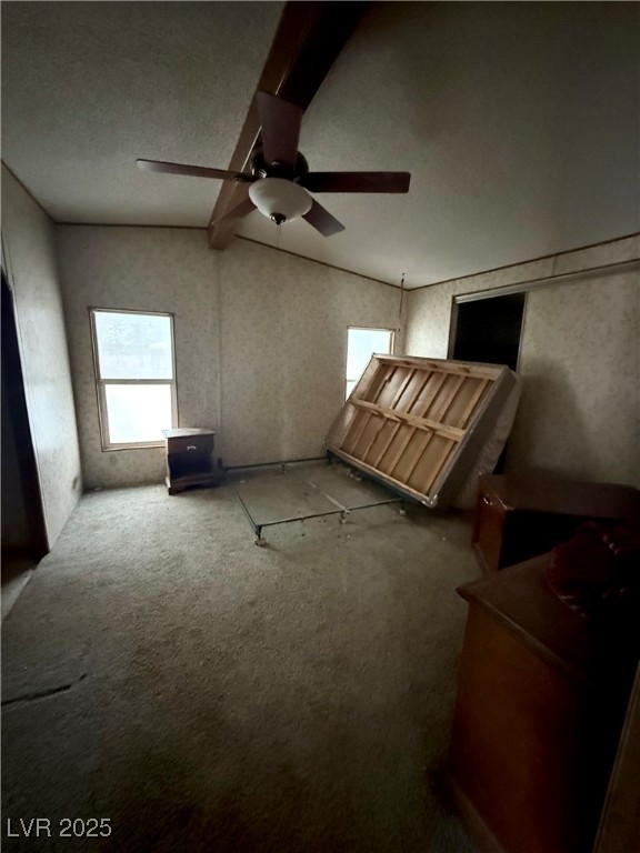 1850 W Simkins Road, Pahrump, Nevada image 18