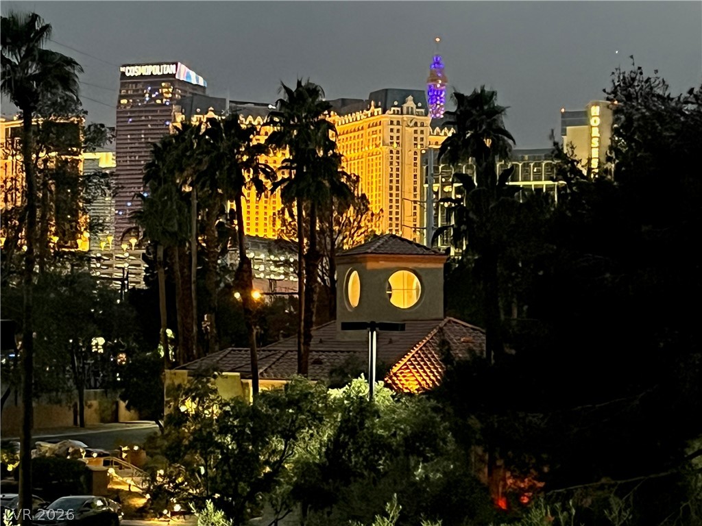 City lights illuminate the night sky with towering