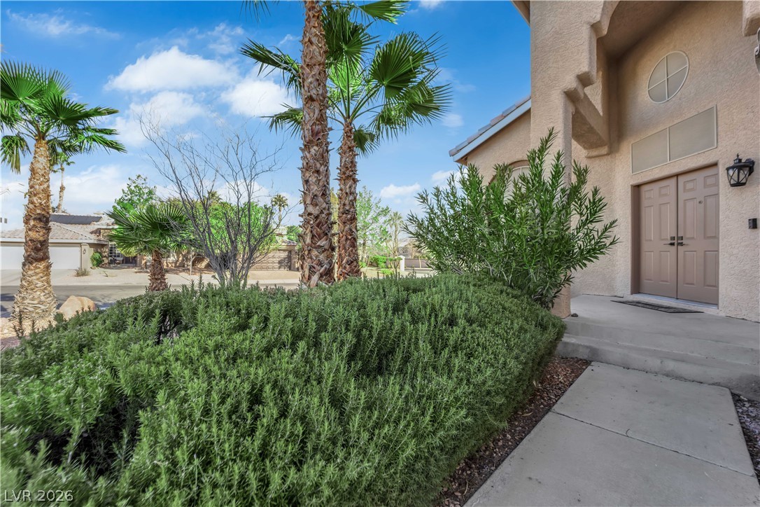 2324 Pinion Valley Drive