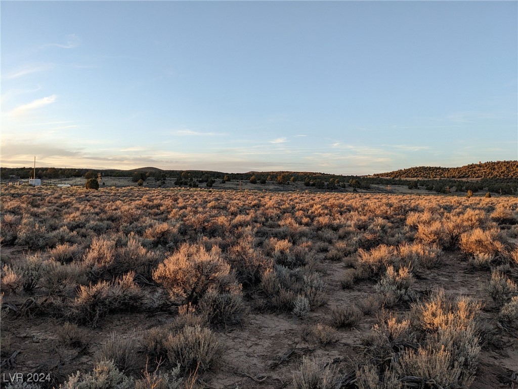 None, Caliente, Nevada image 1