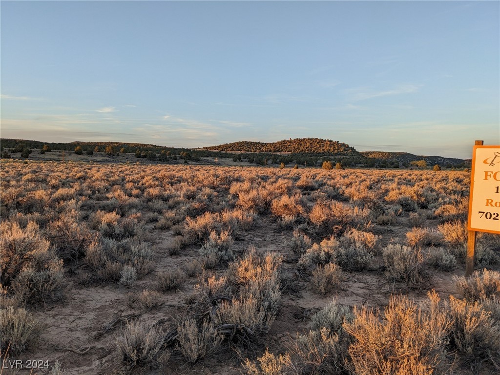 None, Caliente, Nevada image 4