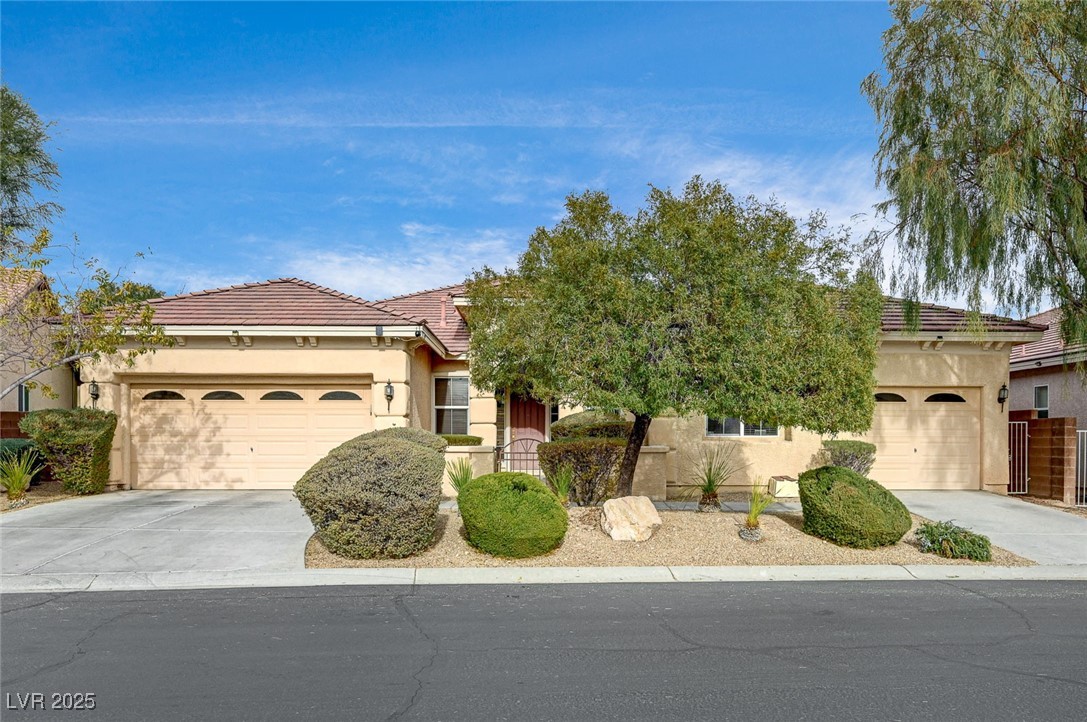 9092 National Park Drive, Las Vegas, Nevada image 3