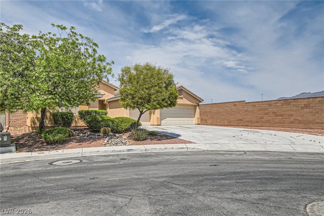 7141 Longhorn Cattle Street