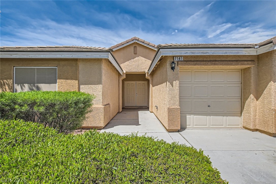 7141 Longhorn Cattle Street