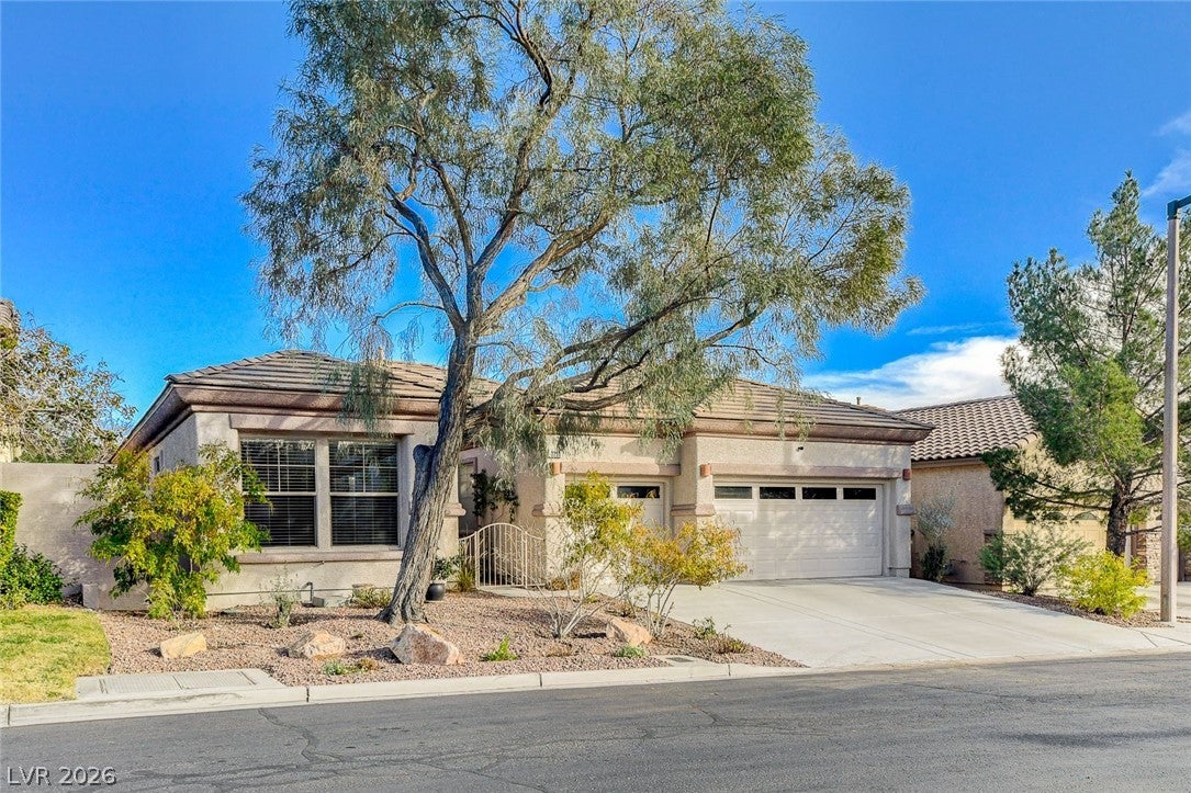 3290 Squire Street