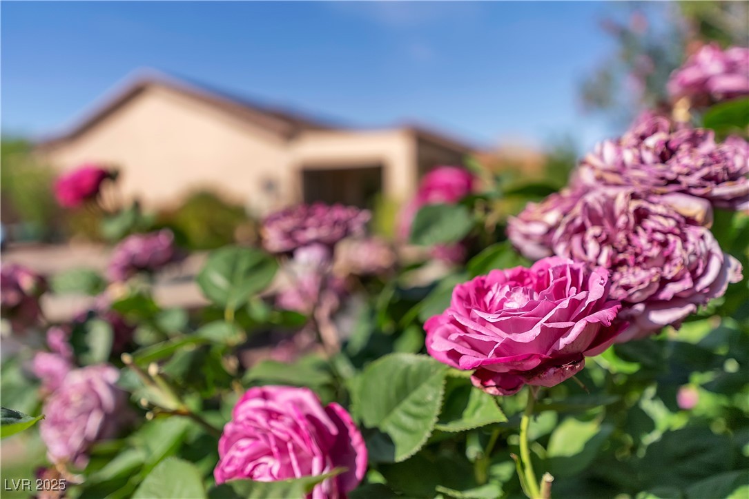2554 Braehead Lane, Henderson, Nevada image 39