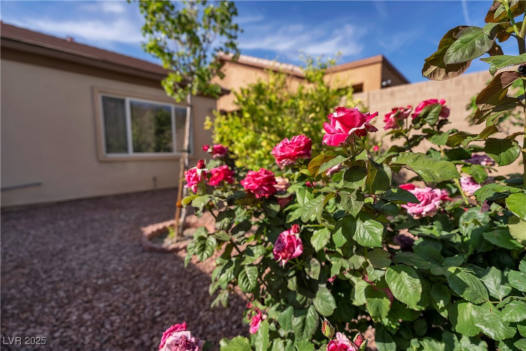 2554 Braehead Lane, Henderson, Nevada image 36