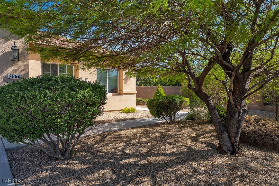2554 Braehead Lane, Henderson, Nevada image 5