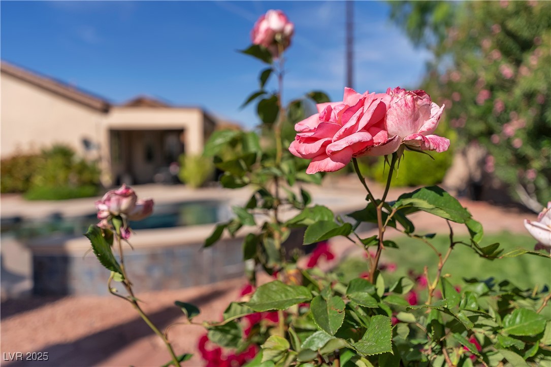 2554 Braehead Lane, Henderson, Nevada image 38