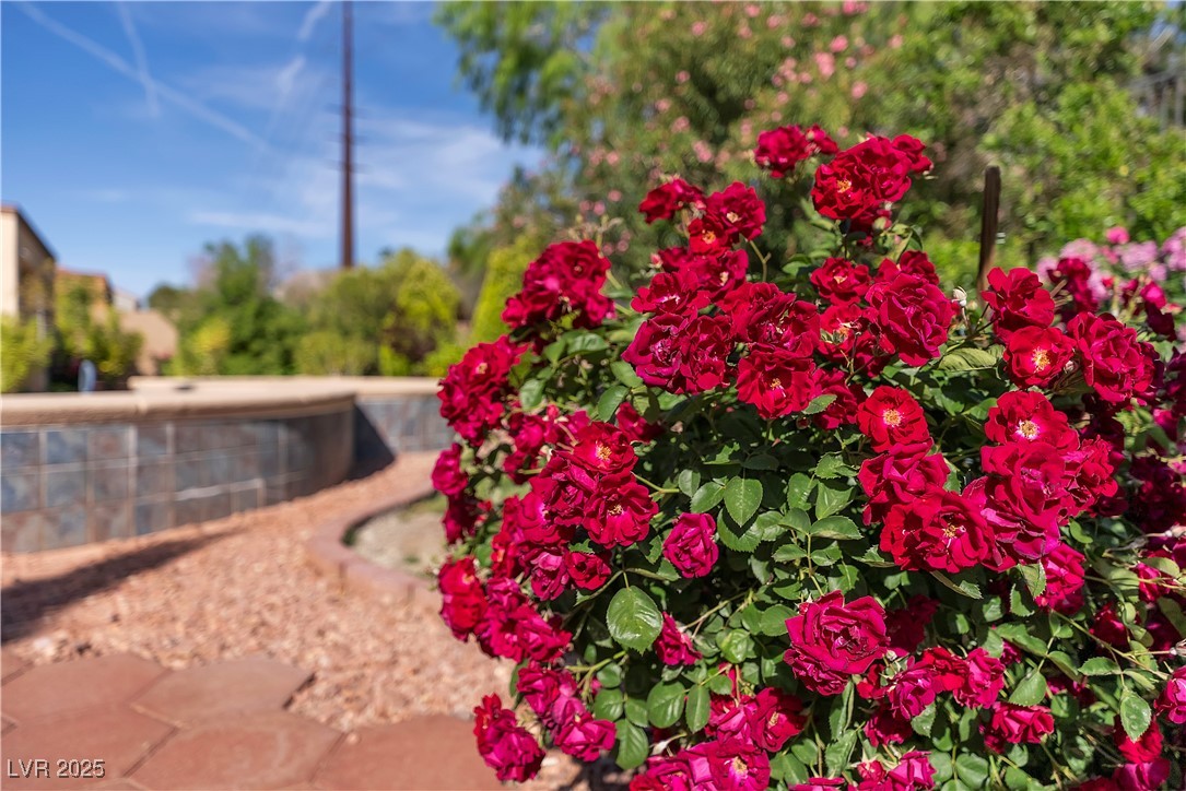 2554 Braehead Lane, Henderson, Nevada image 37