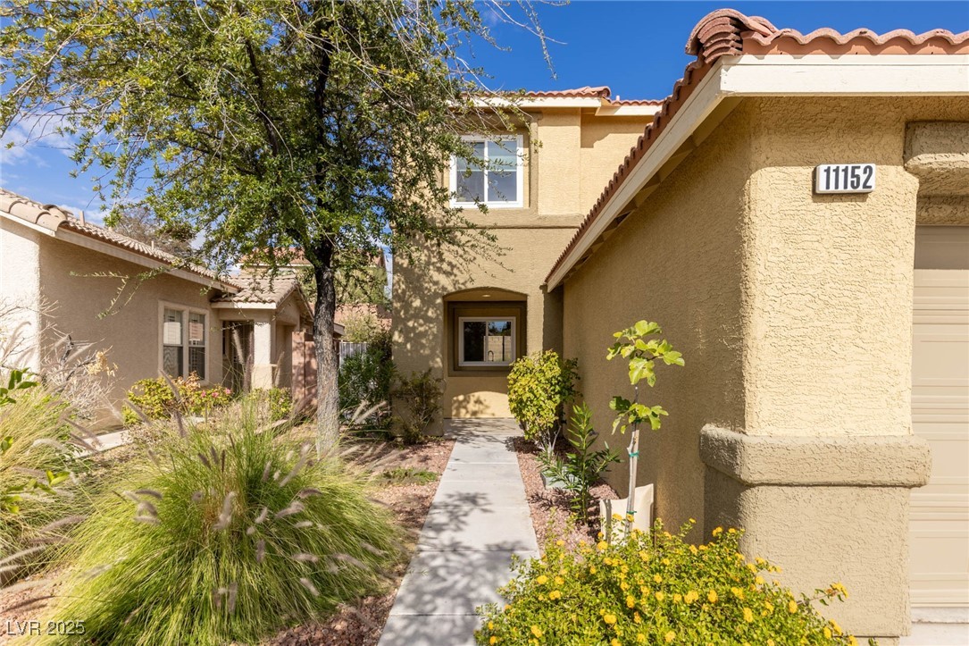 11152 Summer Squash Lane