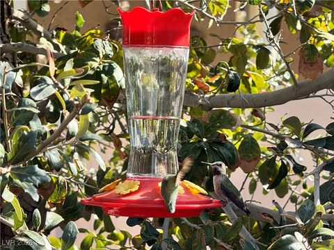 4917 Sevier Desert Street North Las Vegas NV 89081