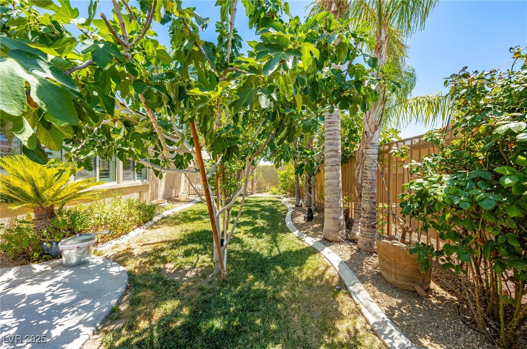 3709 Citrus Heights Avenue, North Las Vegas, Nevada image 5