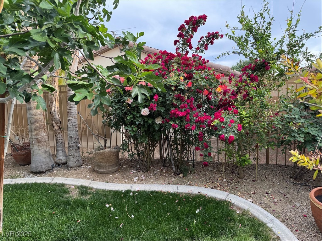 3709 Citrus Heights Avenue, North Las Vegas, Nevada image 3