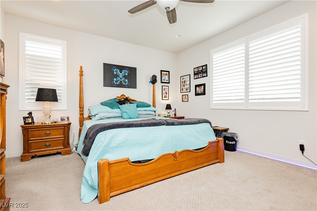 4560 E Cactus Canyon Drive, Pahrump, Nevada image 15