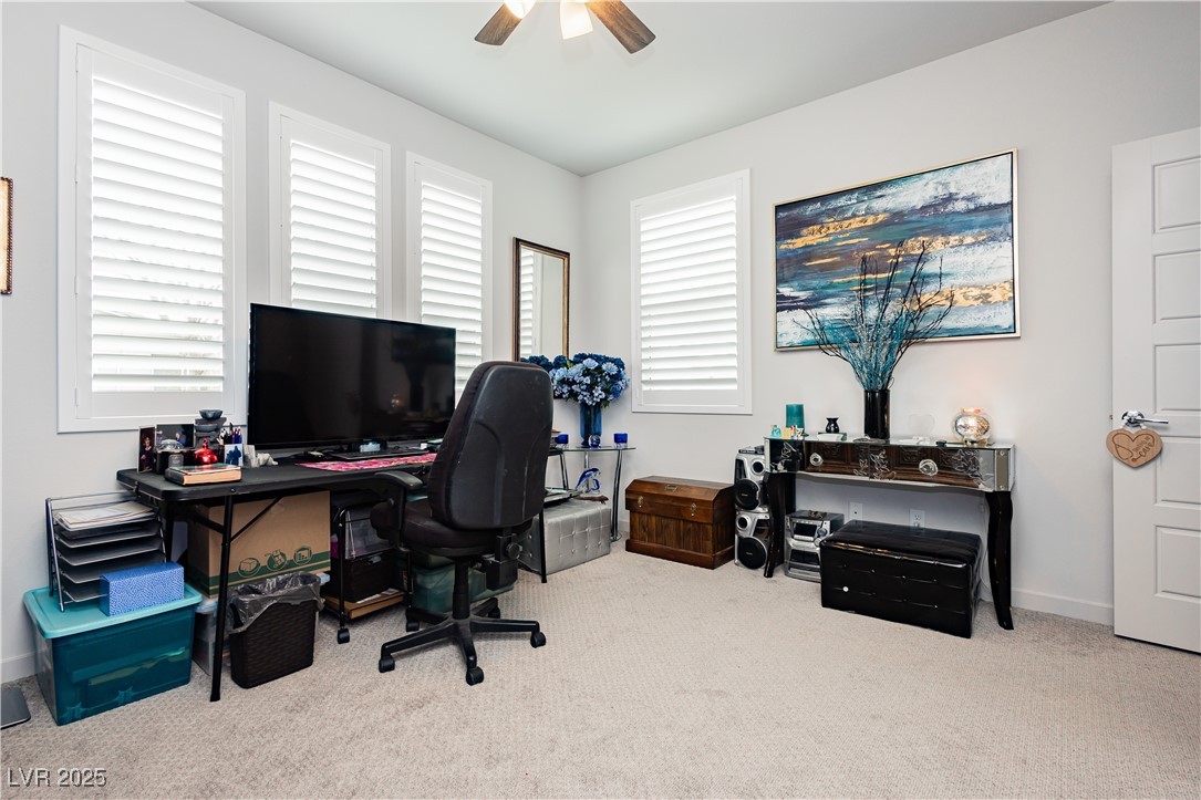4560 E Cactus Canyon Drive, Pahrump, Nevada image 21