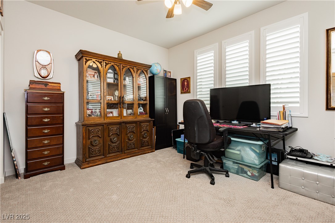 4560 E Cactus Canyon Drive, Pahrump, Nevada image 23