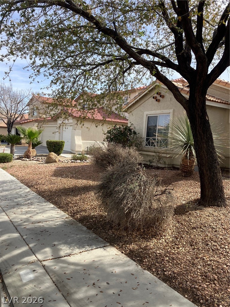 1809 Little Bow Avenue