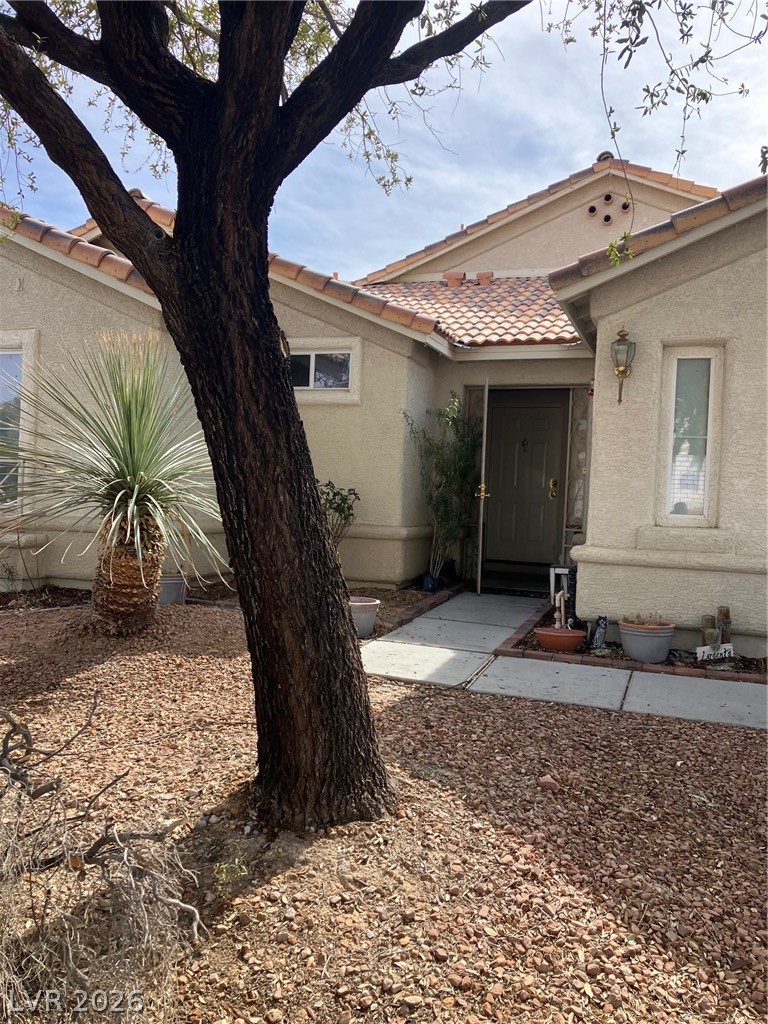 1809 Little Bow Avenue