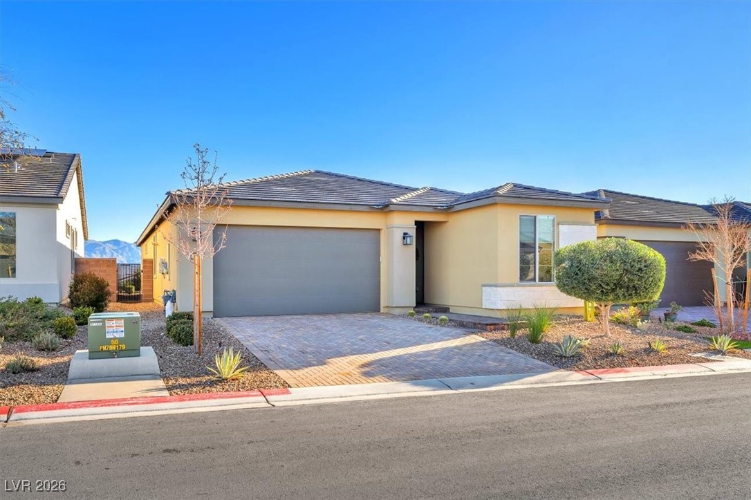 10080 Chrysolite Place