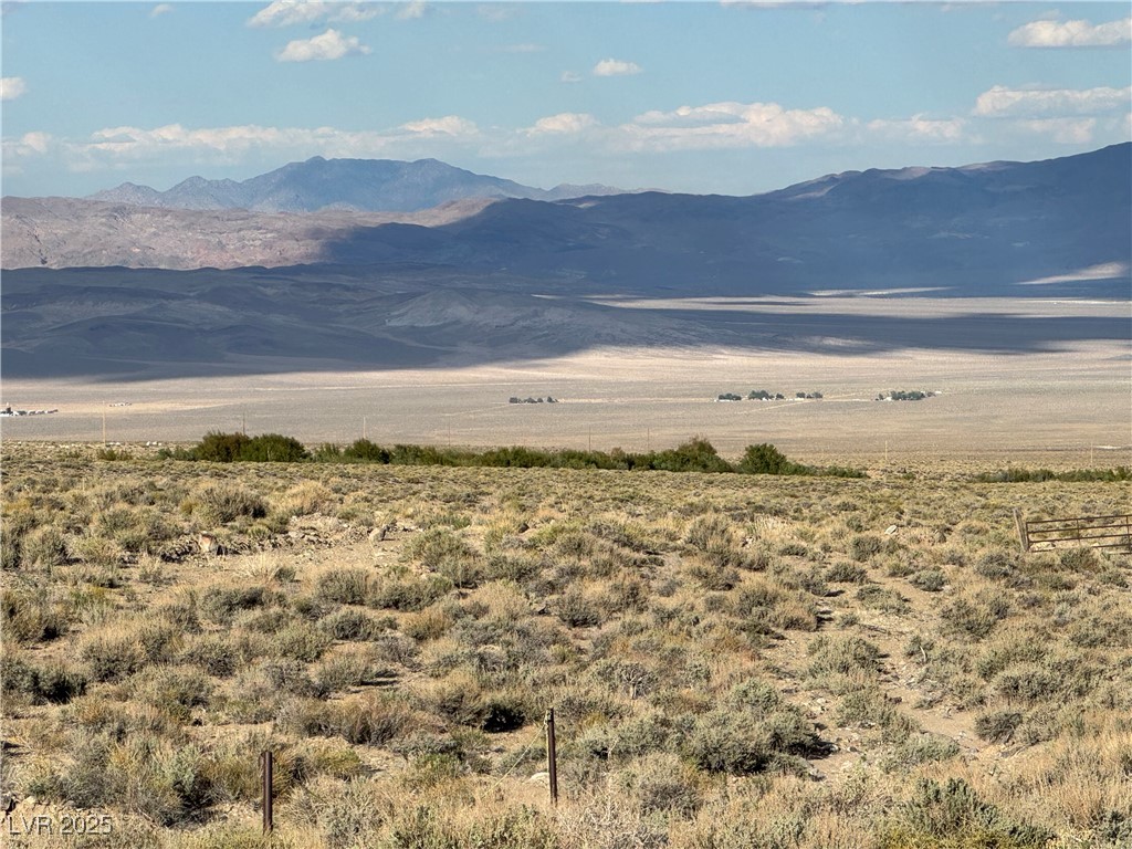 325 Davis Meadow Trail, Dyer, Nevada image 3
