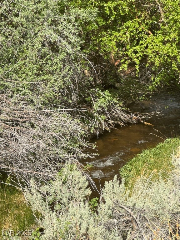 325 Davis Meadow Trail, Dyer, Nevada image 4