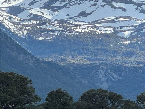 Vacant Land For Sale - 325 Davis Meadow Trail<br/> Dyer, NV 89010