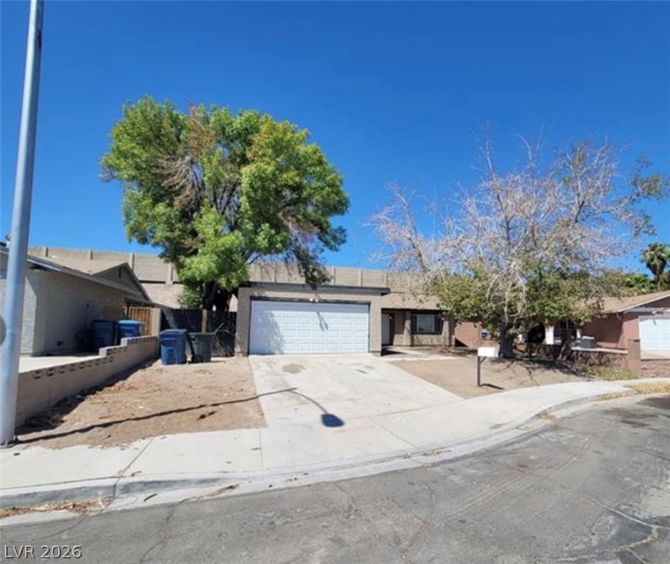 3755 Chutney Street