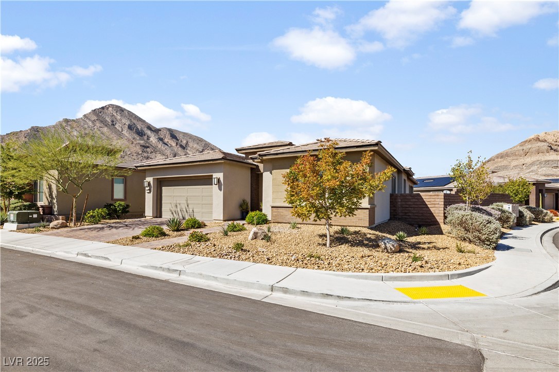11032 Black Fire Opal Drive