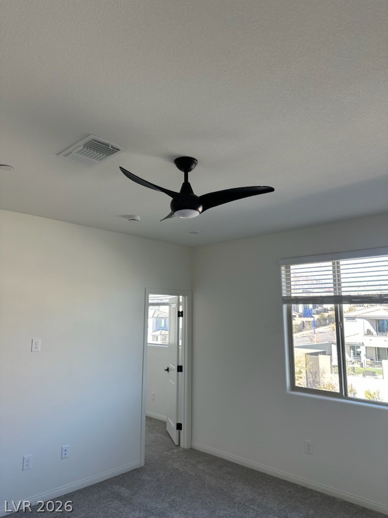 1505 Little Penguin Street